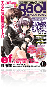 gao_cover